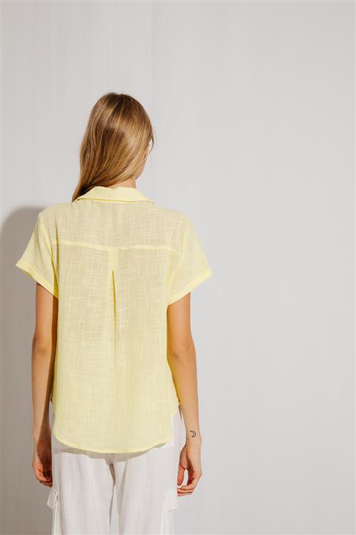 Camisa Galápagos