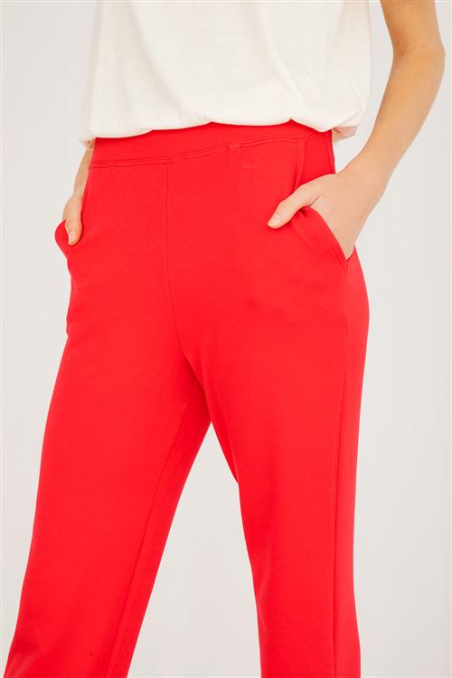 Pantalón Darwin